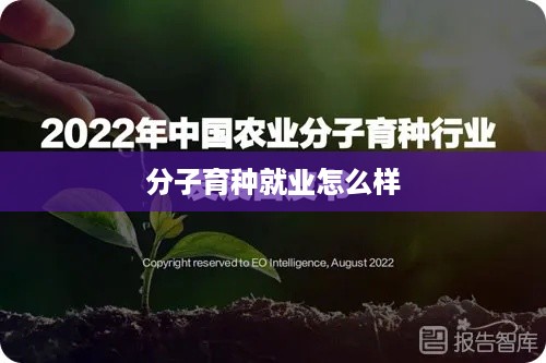 分子育种就业怎么样