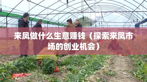 来凤做什么生意赚钱（探索来凤市场的创业机会）