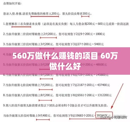 560万做什么赚钱的项目 60万做什么好