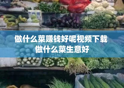 做什么菜赚钱好呢视频下载 做什么菜生意好