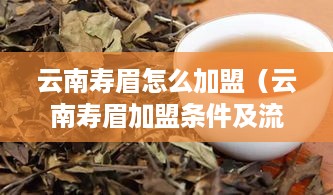 云南寿眉怎么加盟（云南寿眉加盟条件及流程）