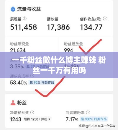 一千粉丝做什么博主赚钱 粉丝一千万有用吗