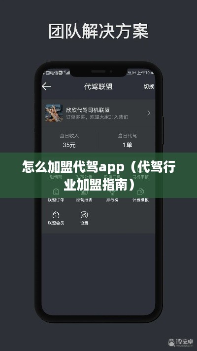 怎么加盟代驾app（代驾行业加盟指南）