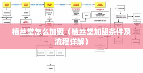 植丝堂怎么加盟（植丝堂加盟条件及流程详解）