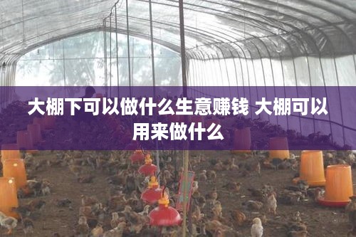 大棚下可以做什么生意赚钱 大棚可以用来做什么