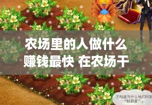 农场里的人做什么赚钱最快 在农场干什么赚钱