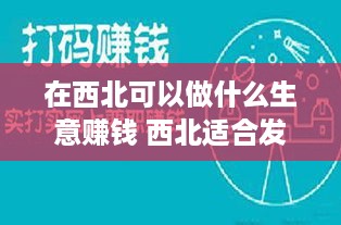 在西北可以做什么生意赚钱 西北适合发展什么产业