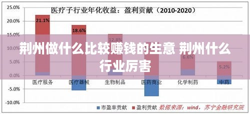 荆州做什么比较赚钱的生意 荆州什么行业厉害