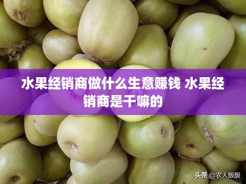 水果经销商做什么生意赚钱 水果经销商是干嘛的