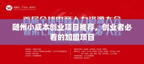 随州小成本创业项目推荐，创业者必看的加盟项目