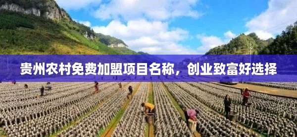 贵州农村免费加盟项目名称，创业致富好选择
