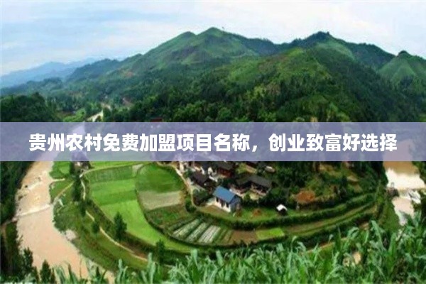 贵州农村免费加盟项目名称，创业致富好选择