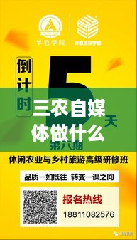 三农自媒体做什么赚钱快 做三农自媒体取什么名字好