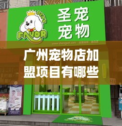 广州宠物店加盟项目有哪些挑选适合你的加盟计划