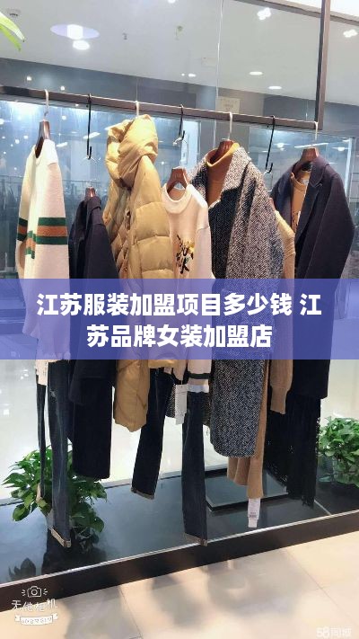 江苏服装加盟项目多少钱 江苏品牌女装加盟店