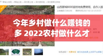 今年乡村做什么赚钱的多 2022农村做什么才挣钱