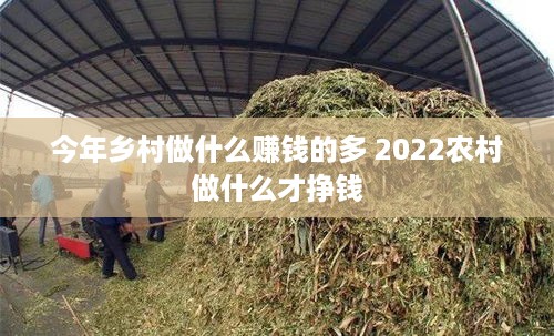 今年乡村做什么赚钱的多 2022农村做什么才挣钱