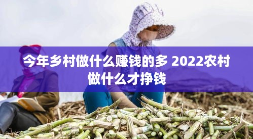 今年乡村做什么赚钱的多 2022农村做什么才挣钱