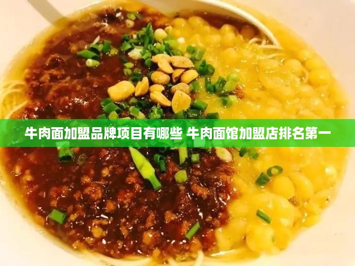 牛肉面加盟品牌项目有哪些 牛肉面馆加盟店排名第一