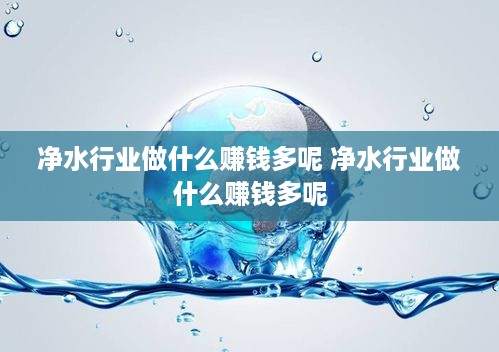 净水行业做什么赚钱多呢 净水行业做什么赚钱多呢