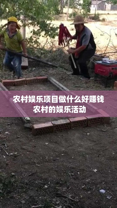 农村娱乐项目做什么好赚钱 农村的娱乐活动