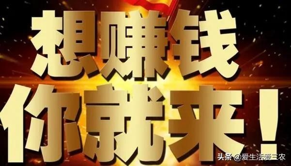 想创业适合做什么生意赚钱 想创业做什么生意好