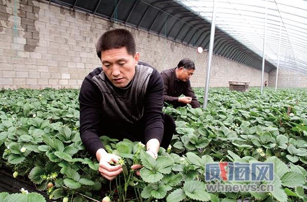 水可以用来做什么赚钱 水可以用来做什么赚钱呢