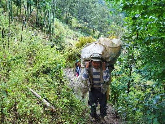 山区适合做什么工作赚钱 山区适合做什么工作赚钱多