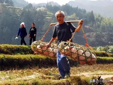 在城市里做什么副业赚钱 在城市里干什么能赚钱