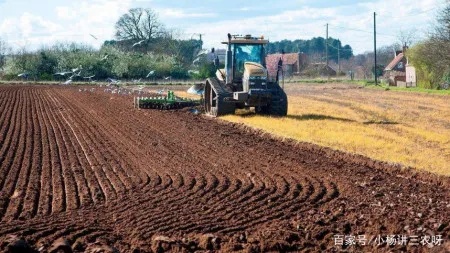 农村土地回收能做什么赚钱 农村土地回收能做什么赚钱项目