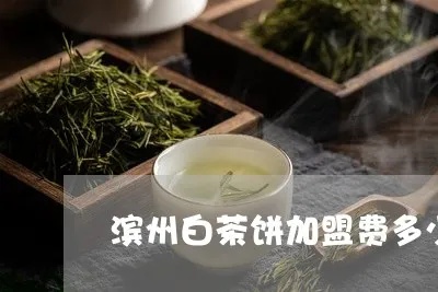 昌乐白茶饼加盟费多少（详解昌乐白茶饼加盟政策）