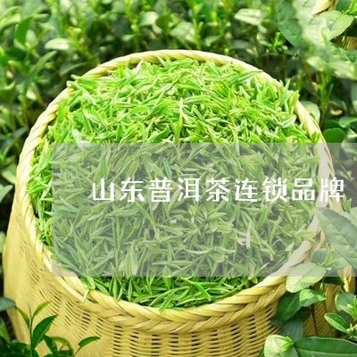 菏泽毛峰茶加盟指南（加盟菏泽毛峰茶的详细流程）