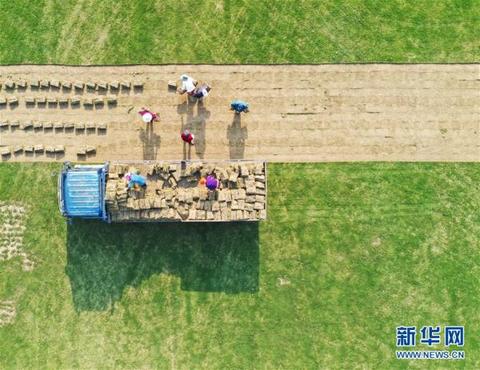 今年许昌就业怎么样 许昌毕业生就业信息网