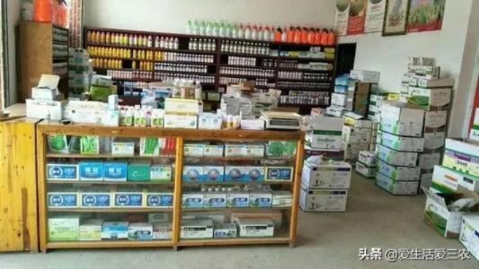 实体小店创业做什么好赚钱 2021年实体店创业小项目