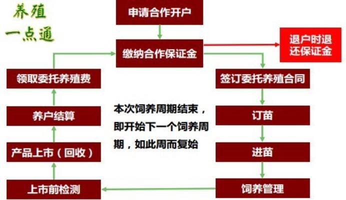 养项目 加盟（加盟养项目指南）