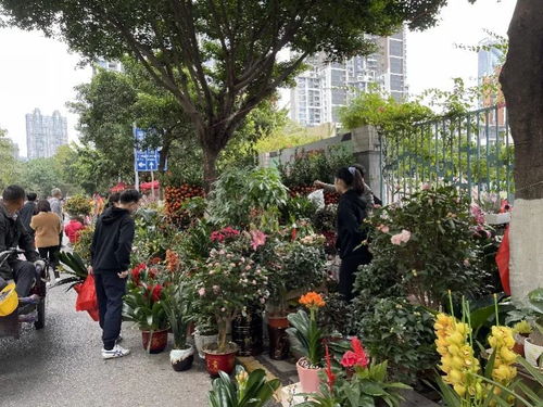 在花街做什么赚钱最快 花街是什么地方