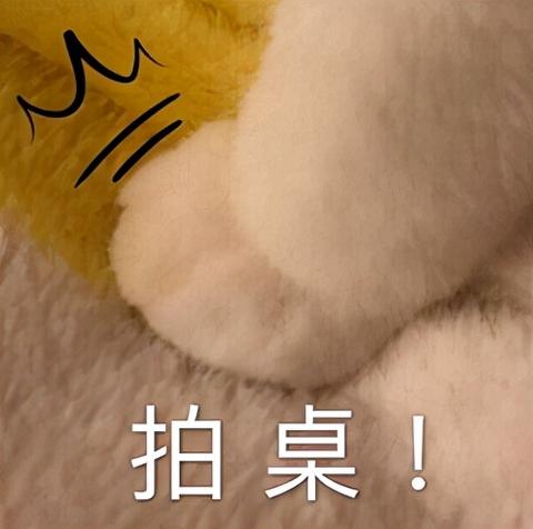 猪肉做什么菜小游戏赚钱 猪肉能做什么菜主菜