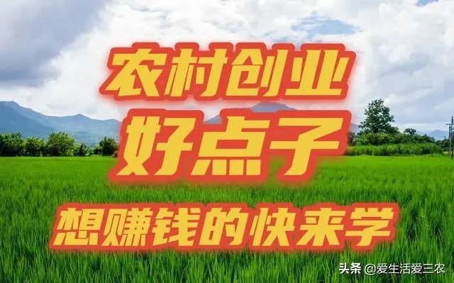 农村做什么技术比较好赚钱 农村做什么赚钱?