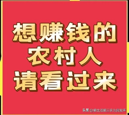 农村做什么技术比较好赚钱 农村做什么赚钱?