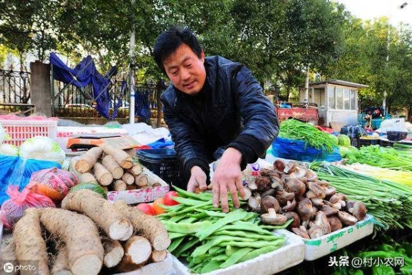 农村做什么技术比较好赚钱 农村做什么赚钱?