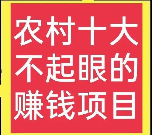 做什么项目都能赚钱嘛英文 干啥项目挣钱