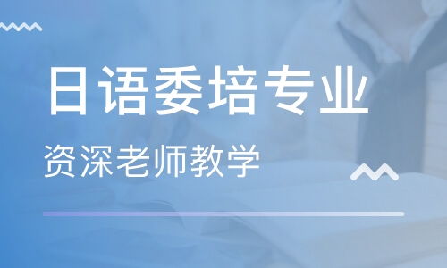 日语济宁就业怎么样 济宁日语老师招聘信息