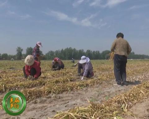 在外地做什么兼职好呢赚钱 在外地做什么兼职好呢赚钱呢