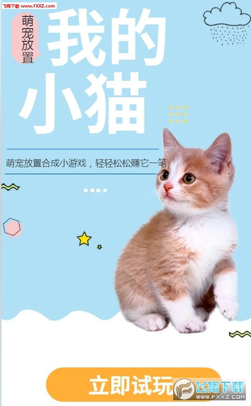 猫咪可以做什么游戏赚钱 专为猫做的几款游戏,猫咪玩得太疯,差点把屏幕给抠烂!