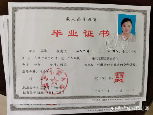 大专在上海做什么赚钱 大专在上海做什么赚钱多