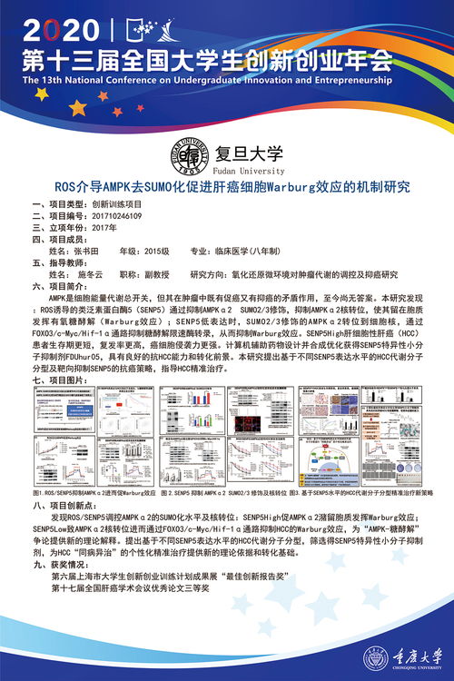 黑龙江创业加盟找项目管理 黑龙江创业训练计划平台