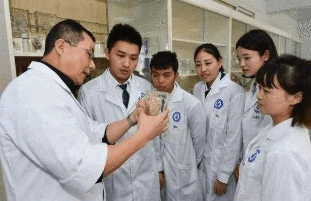 在校医学生做什么赚钱