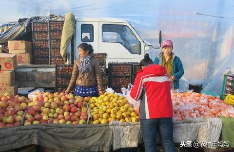 新年7天能做什么生意赚钱