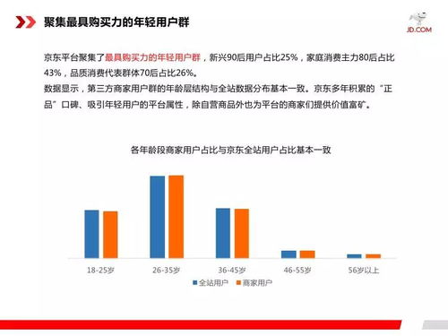 京东平台运营，发掘盈利潜能的要点与策略