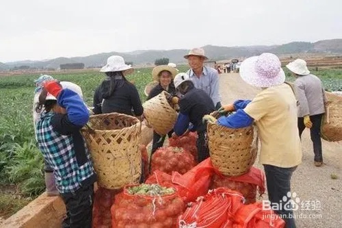 农村能做什么事情赚钱